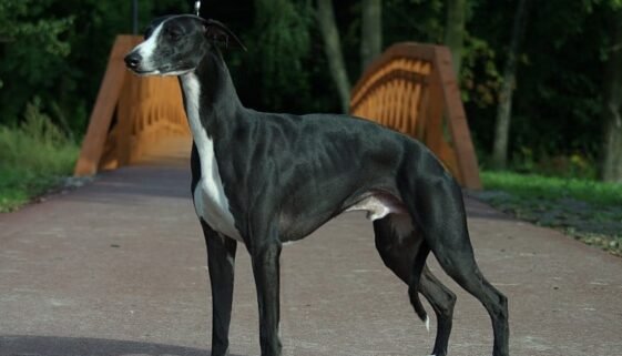 011e4d85-fce8-4de8-9072-aea6bb94cfa4